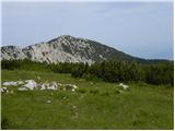 Najberž - Petzen (Kordeschkopf) (Peca (Kordeževa glava))